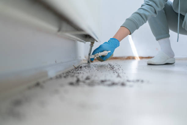 Best Rodent Control Near Me  in Woodbourne, PA